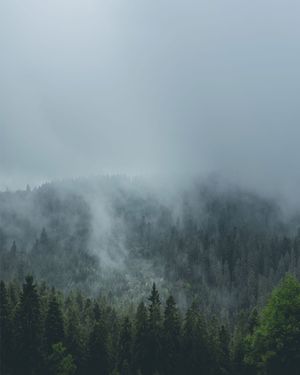Image post by @kszczuka on Instagram