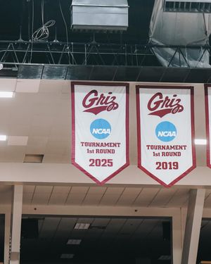 Image post by @vandalhoops on Instagram