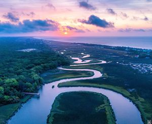 Image post by @southcarolina on Instagram