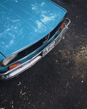 Image post by @roosanchez on Instagram