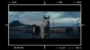Image post by @dzofilm on Instagram
