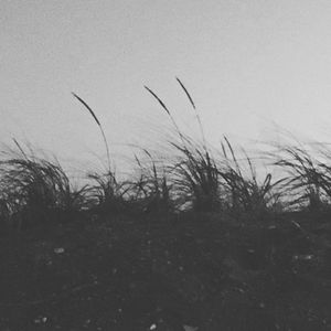 Image post by @scott_lukaitis on Instagram
