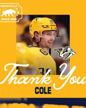 Image post by @PredsNHL on Twitter