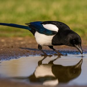 Image post by @discovery on Instagram