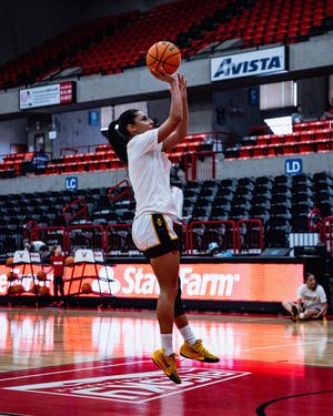 Image post by @vandalswbb on Instagram