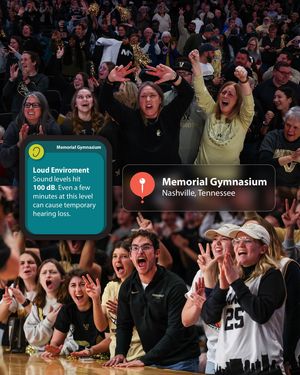 Image post by @vandywbb on Instagram