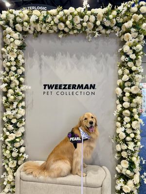 Image post by @pearl.the.golden.girl on Instagram