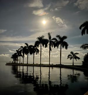 Image post by @deeringestate on Instagram