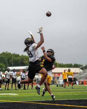 Image post by @mwsugriffons on Instagram