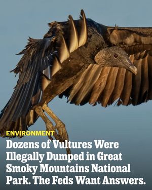 Image post by @outsidemagazine on Instagram