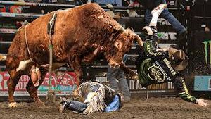 Video post by @pbr on YouTube