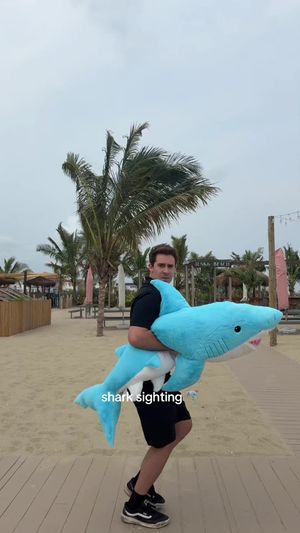 Video post by @jenksbeach on TikTok
