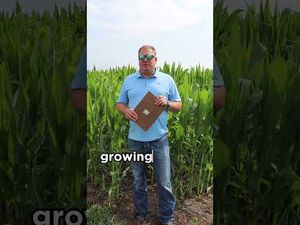 Video post by @pivotbio on YouTube