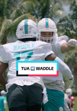 Video post by @miamidolphins on TikTok