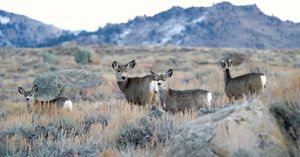 Image post by @usgs on Instagram