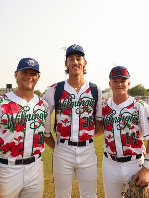 Image post by @ilmsharks on Instagram
