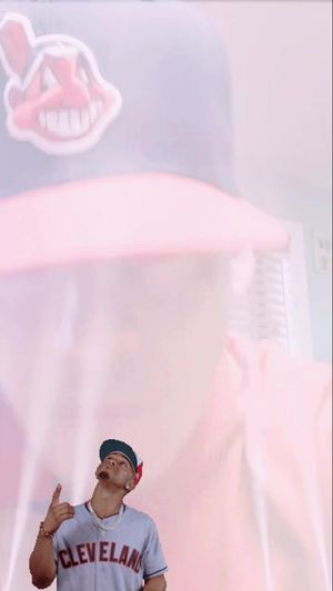 Video post by @bagthebandit on TikTok