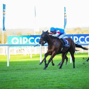 Image post by @britishchampionsday on Instagram