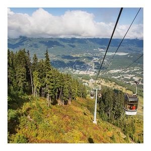 Image post by @whistlerblackcomb on Instagram