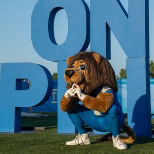 Image post by @roarynfl on Instagram