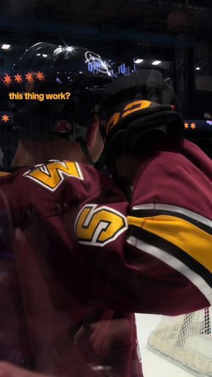 Video post by @chiwolves on TikTok