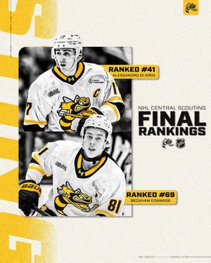 Image post by @stinghockey on Instagram