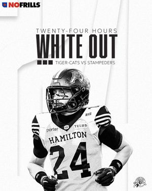 Image post by @hamiltontigercats on Instagram