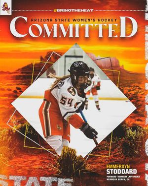 Image post by @womenshockeyasu on Instagram