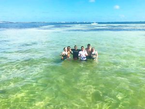 Image post by @tranquilo_y_tropical_miami on Instagram