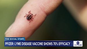 Video post by @abcnewslive on TikTok