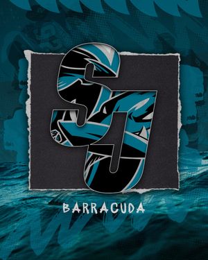 Image post by @sjbarracuda on Instagram