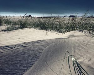 Image post by @mokelevine on Instagram