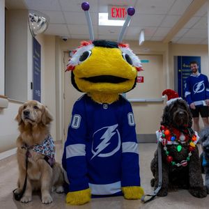 Image post by @thunderbugtbl on Instagram
