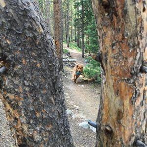 Image post by @breckenridgemtn on Instagram