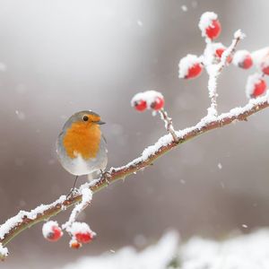 Image post by @bbcearth on Instagram