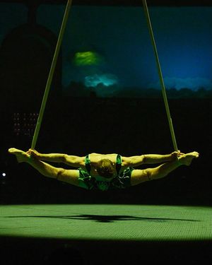 Image post by @vidantaworld on Instagram