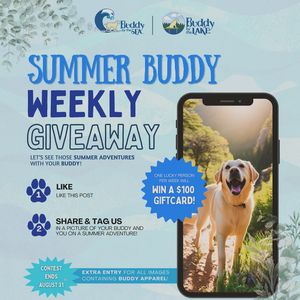 Image post by @shop_buddybythesea on Instagram