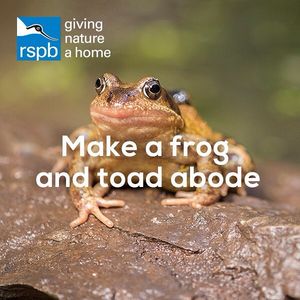 Image post by @rspb on Instagram