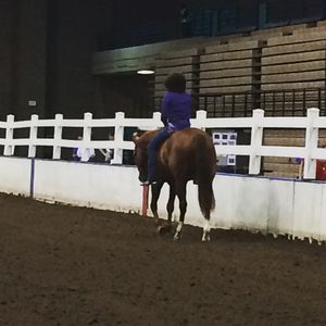 Image post by @american_royal on Instagram