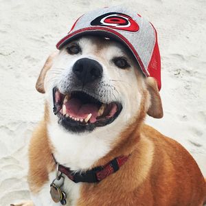 Image post by @canes on Instagram