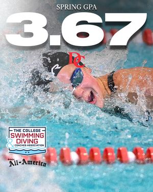 Image post by @davidsonswimdive on Instagram