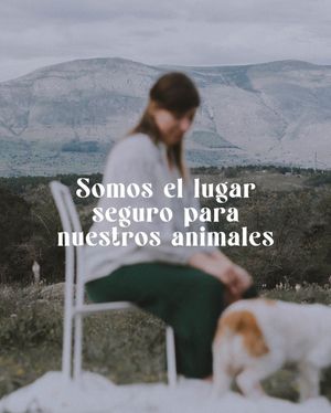 Image post by @amanaturis on Instagram