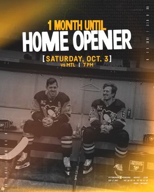 Image post by @penguins on Instagram
