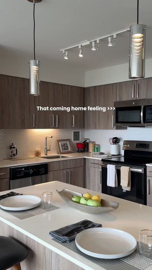 Video post by @smartcitychicago on TikTok