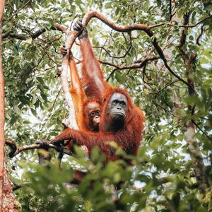 Image post by @discovery on Instagram