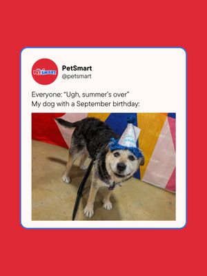 Video post by @petsmart on TikTok
