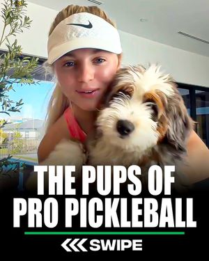 Video post by @thekitchenpickleball on TikTok