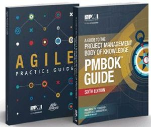 Image post by @PMInstitute on Twitter