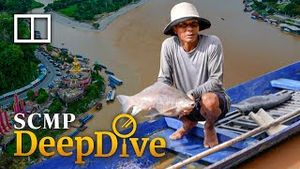 Video post by @southchinamorningpost on YouTube