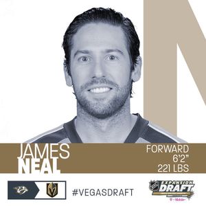 Image post by @vegasgoldenknights on Instagram